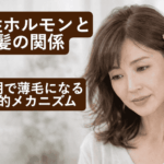 女性ホルモン（エストロゲン）と髪の関係｜更年期で薄毛になる医学的メカニズム なぜ強い