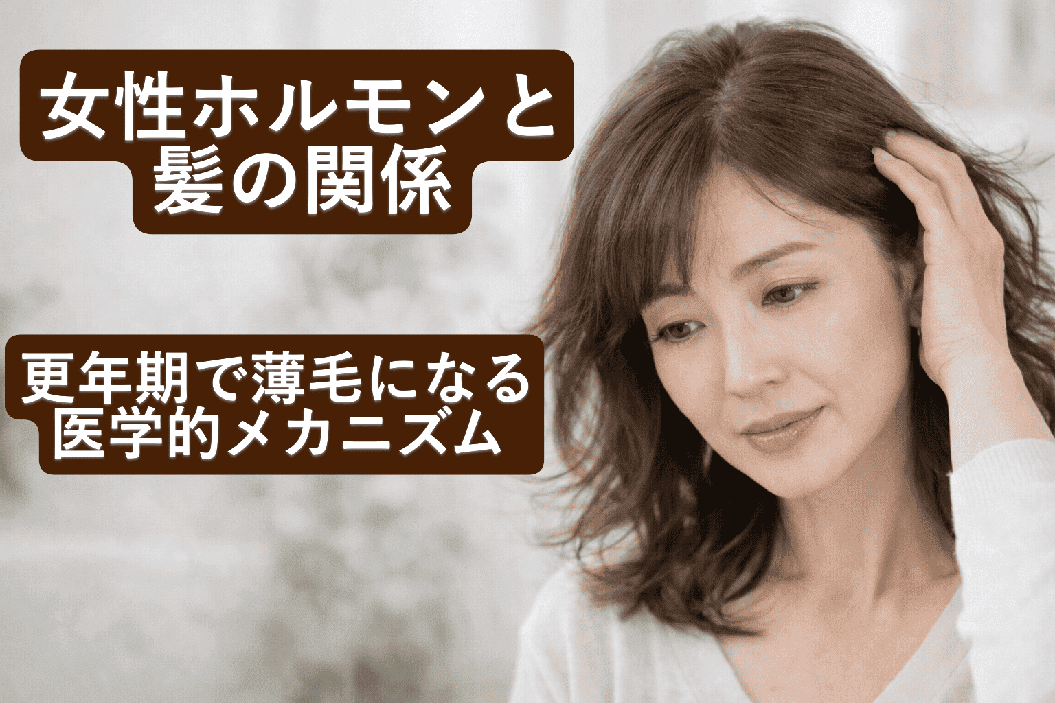 女性ホルモン（エストロゲン）と髪の関係｜更年期で薄毛になる医学的メカニズム なぜ強い