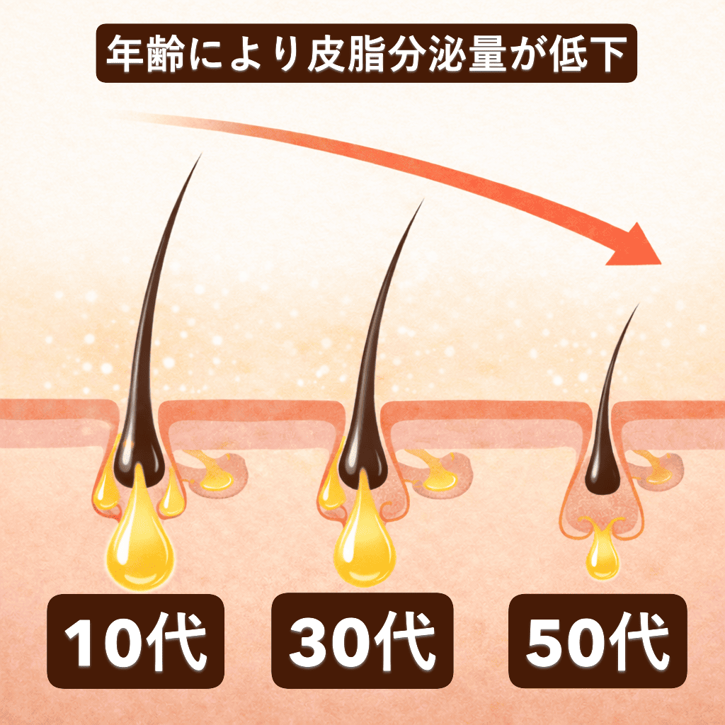 年齢により皮脂分泌量が低下