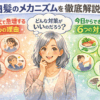 白髪のメカニズムを徹底解説：50代で急増する5つの理由と今日からできる6つの対策